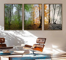 Seasonal Forest Canvas Wall Art Print - Changing Seasons in by MyGreatCanvas | Canvas Wall Art Prints | Photo Prints & Wall Decor