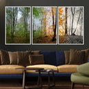 Seasonal Forest Canvas Wall Art Print - Changing Seasons in by MyGreatCanvas | Canvas Wall Art Prints | Photo Prints & Wall Decor