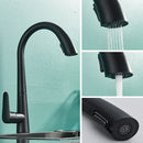 GobekUsa Black Kitchen Faucet with Pull Out Sprayer and Single Lever Control