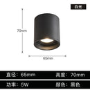 GobekUsa Aluminum Ceiling Lamp: Cylindrical Surface Mounted Downlight with Adjustable Beam Angle