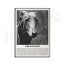 GobekUsa Black & White Dog Breeds Poster: Greyhound, Cocker Spaniel, Akita, Malamute, Cattle Dog