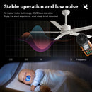GobekUsa 52/56 Inch 35W DC Motor Modern Ceiling Fan with Remote Control