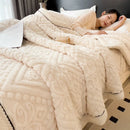 GobekUsa Double-Layer Coral Fleece Blanket: Super Soft Queen King Quilt for Winter