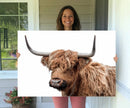 Self Portrait of Highland Cow Canvas, Cattle Wall Decor Wall by MyGreatCanvas | Canvas Wall Art Prints | Photo Prints & Wall Decor