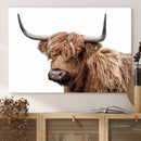 Self Portrait of Highland Cow Canvas, Cattle Wall Decor Wall by MyGreatCanvas | Canvas Wall Art Prints | Photo Prints & Wall Decor