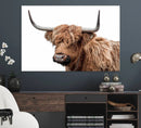 Self Portrait of Highland Cow Canvas, Cattle Wall Decor Wall by MyGreatCanvas | Canvas Wall Art Prints | Photo Prints & Wall Decor