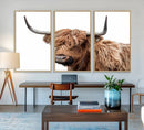 Self Portrait of Highland Cow Canvas, Cattle Wall Decor Wall by MyGreatCanvas | Canvas Wall Art Prints | Photo Prints & Wall Decor