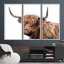 Self Portrait of Highland Cow Canvas, Cattle Wall Decor Wall by MyGreatCanvas | Canvas Wall Art Prints | Photo Prints & Wall Decor