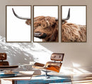 Self Portrait of Highland Cow Canvas, Cattle Wall Decor Wall by MyGreatCanvas | Canvas Wall Art Prints | Photo Prints & Wall Decor