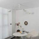 Serge Mouille Ceiling Light A