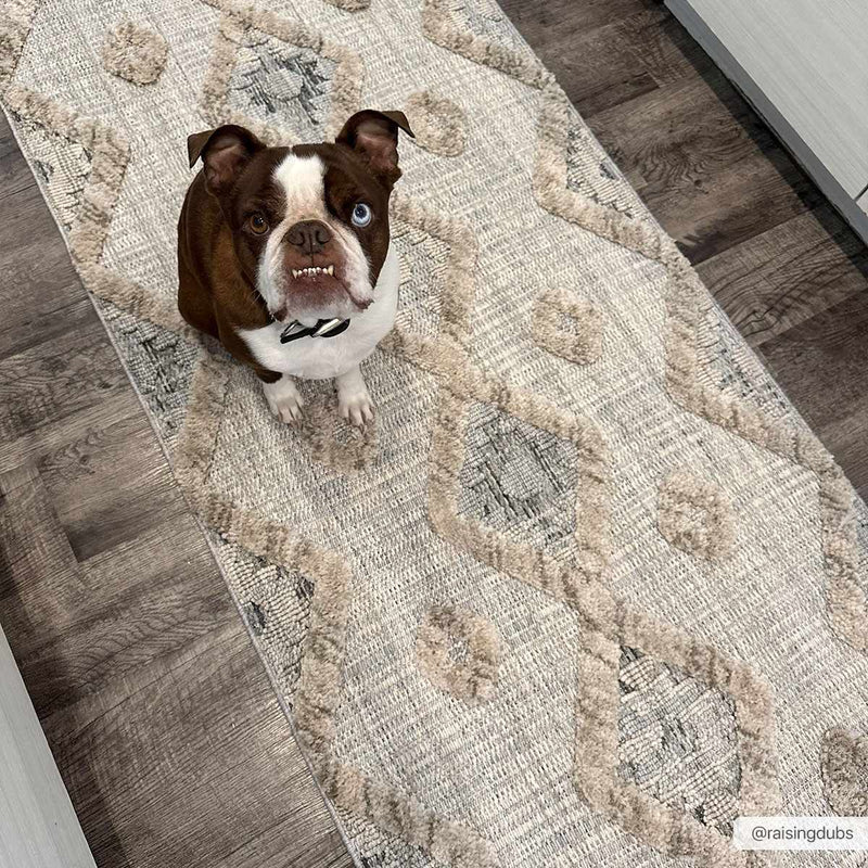 Serkomen High-Low Area Rug - Clearance