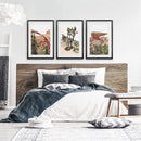 US Desert Wall Art. Arches National Park, Cliff, Joshua Tree by Wall Art Set