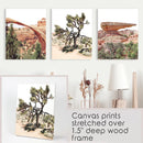 US Desert Wall Art. Arches National Park, Cliff, Joshua Tree by Wall Art Set