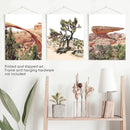 US Desert Wall Art. Arches National Park, Cliff, Joshua Tree by Wall Art Set