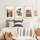 US Desert Wall Art. Arches National Park, Cliff, Joshua Tree by Wall Art Set