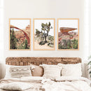 US Desert Wall Art. Arches National Park, Cliff, Joshua Tree by Wall Art Set