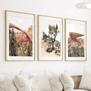 US Desert Wall Art. Arches National Park, Cliff, Joshua Tree by Wall Art Set