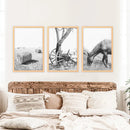 Black White Farm House Wall Décor. Horse, Hay Bales by Wall Art Set