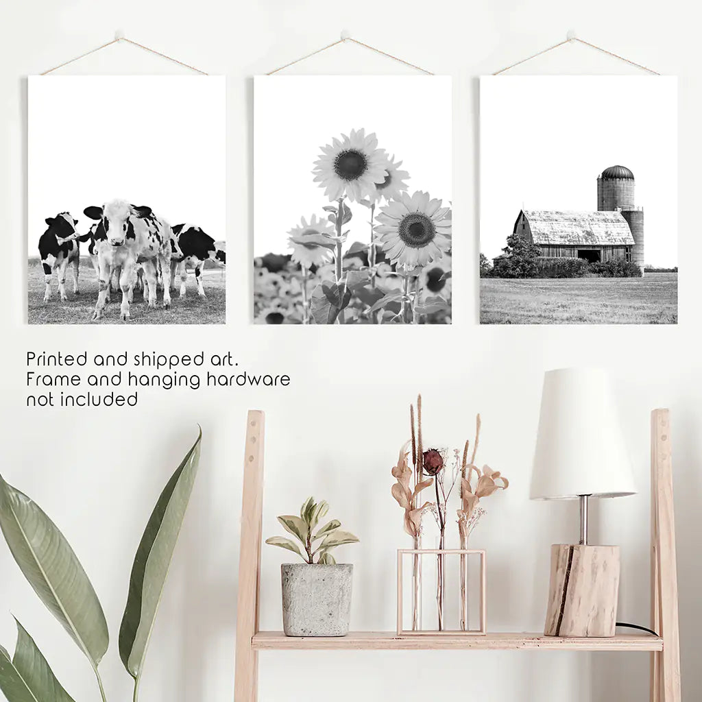 Rustic Black White Wall Art Set. Cows, Sunflowers, Old Barn, photo 9 of 13
