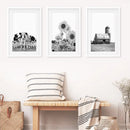 Rustic Black White Wall Art Set. Cows, Sunflowers, Old Barn by Wall Art Set