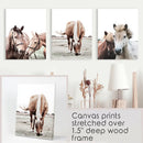 Horses. Modern Farmhouse Prints. Western Set of 3 by Wall Art Set