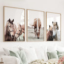 Horses. Modern Farmhouse Prints. Western Set of 3 by Wall Art Set