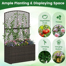 Set of 2 49 Inch Raised Garden Bed with Trellis and Wicker Planter Box by LJGDeals