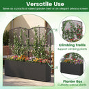 Set of 2 58 Inch Raised Garden Bed with Trellis and Wicker Planter Box