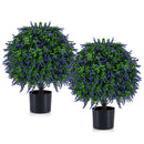Artificial Lavender Topiary Ball Trees 22 Inch Set of 2 by LJGDeals