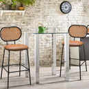 29.5 Inch Modern Faux Leather Bar Stools with Imitation Rattan Woven Backrest by LJGDeals
