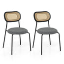Set of 2 Rattan Dining Chair with Metal Legs by LJGDeals