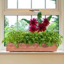 Wooden Raised Garden Bed Planter Box Set of 2 - Brown by DirectDeals