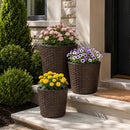 Plastic Rattan Planters Set of 3 with Drainage and Saucers by LJGDeals