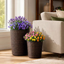 Plastic Rattan Planters Set of 3 with Drainage and Saucers by DirectDeals