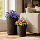 Plastic Rattan Planters Set of 3 with Drainage and Saucers by LJGDeals
