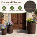 Plastic Rattan Planters Set of 3 with Drainage and Saucers by LJGDeals