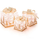 Set of 3 Lighted Christmas Gift Box with 100 Warm White Lights by LJGDeals
