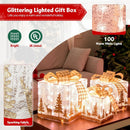 Set of 3 Lighted Christmas Gift Box with 100 Warm White Lights by LJGDeals