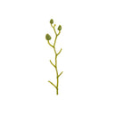 GobekUsa Artificial Flower Stems for Wedding Garden Arch Decor Festive Party