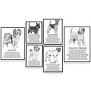 GobekUsa Dog Breed Poster featuring Rhodesian Ridgeback, Havanese, and More