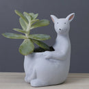 GobekUsa Kangaroo Cartoon Ceramic Flower Pot Vase for Cactus Succulents and Plants