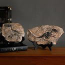 GobekUsa Dino Fossil Resin Craft: Retro Animal Statue, Indoor Living Room Decor & Gift