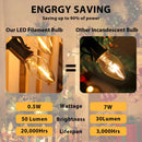 GobekUsa Dimmable LED Night Light Bulbs: E12 E14 Base, 0.5W, Warm White 2700K