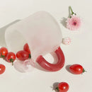 GobekUsa Colorful Glass Mug Set 350ml