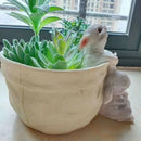 GobekUsa Bunny Succulent Planter Pot for Garden and Patio Decor