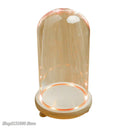 GobekUsa Glass Dome Night Light with Dry Flower Ornaments on Wood Base