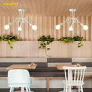 GobekUsa Gold Black Sputnik Chandelier Pendant Light for Living Room Bedroom Farmhouse