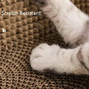GobekUsa Cat Scratch Lounge Bed & Training Toy - Cat Scratcher Board for Sharpening Nails
