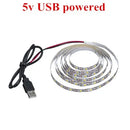 GobekUsa 2835 DC LED Light Strip USB 5V Flexible 50CM - 5M White/Warm TV Background Night Light