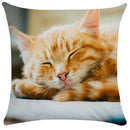 GobekUsa Bubble Black Cats Cat Pillow Cases Sofa Home Decor Custom Cushion Cover